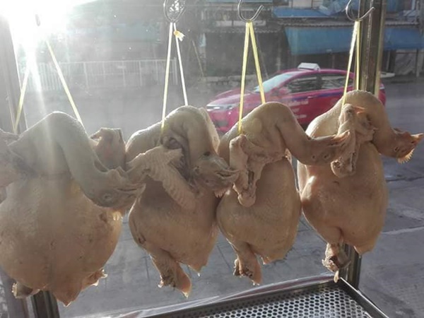 ร้านข้าวมันไก่ ร้านข้าวมันไก่