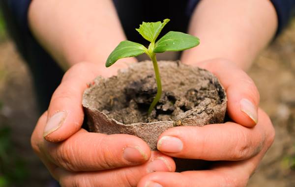 เช็กก่อนแชร์ UN มีมติให้วันที่ 5 ธันวาคม เป็น เช็กก่อนแชร์ UN มีมติให้วันที่ 5 ธันวาคม เป็น