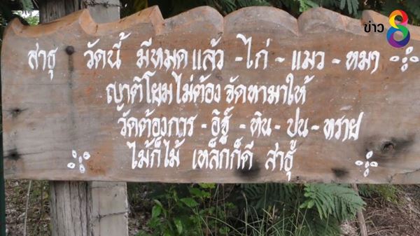 หมา-แมว หมา-แมว