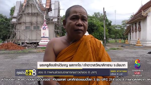 หมา-แมว หมา-แมว