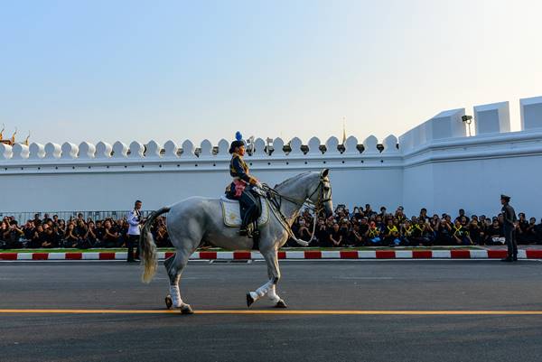 พระองค์หญิงสิริวัณณวรีฯ ทรงม้านำริ้วขบวนที่ 6 พระองค์หญิงสิริวัณณวรีฯ ทรงม้านำริ้วขบวนที่ 6