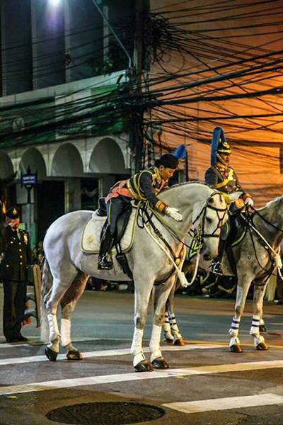 พระองค์หญิงสิริวัณณวรีฯ ทรงม้านำริ้วขบวนที่ 6 พระองค์หญิงสิริวัณณวรีฯ ทรงม้านำริ้วขบวนที่ 6