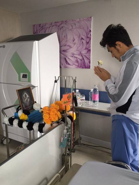 บริจาคสเต็มเซลล์ บริจาคสเต็มเซลล์