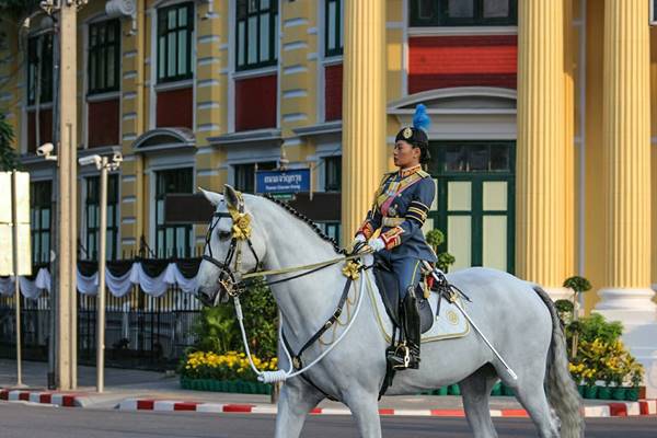 พระองค์หญิงสิริวัณณวรีฯ ทรงม้านำริ้วขบวนที่ 6 พระองค์หญิงสิริวัณณวรีฯ ทรงม้านำริ้วขบวนที่ 6