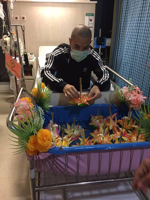 บริจาคสเต็มเซลล์ บริจาคสเต็มเซลล์