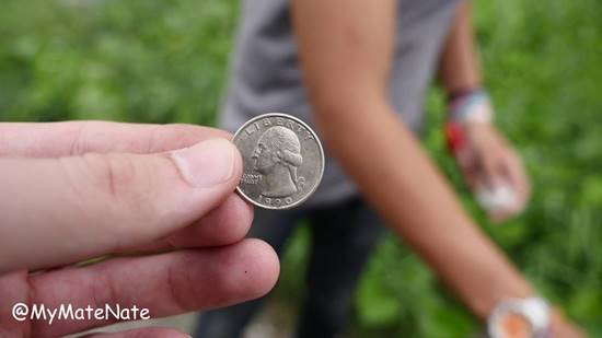 My Mate Nate My Mate Nate