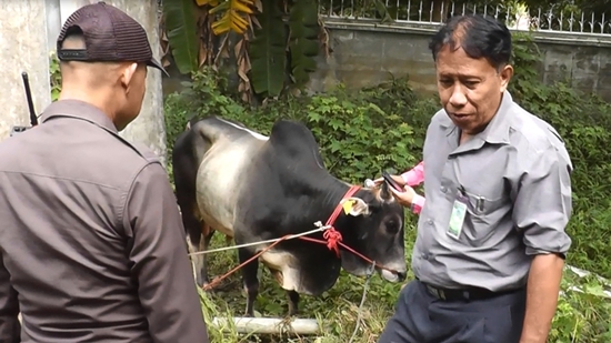 ไถ่ชีวิตโค ไถ่ชีวิตโค