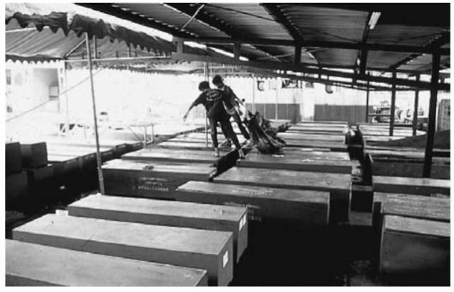 ย้อนดูเหตุการณ์ 23 ปี โศกนาฏกรรมเครื่องบิน Lauda Air ตกในไทย ย้อนดูเหตุการณ์ 23 ปี โศกนาฏกรรมเครื่องบิน Lauda Air ตกในไทย