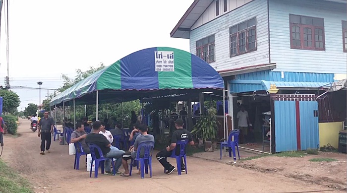 น้องมิว ไม่ได้เสียชีวิตเพราะหมดแมว น้องมิว ไม่ได้เสียชีวิตเพราะหมดแมว