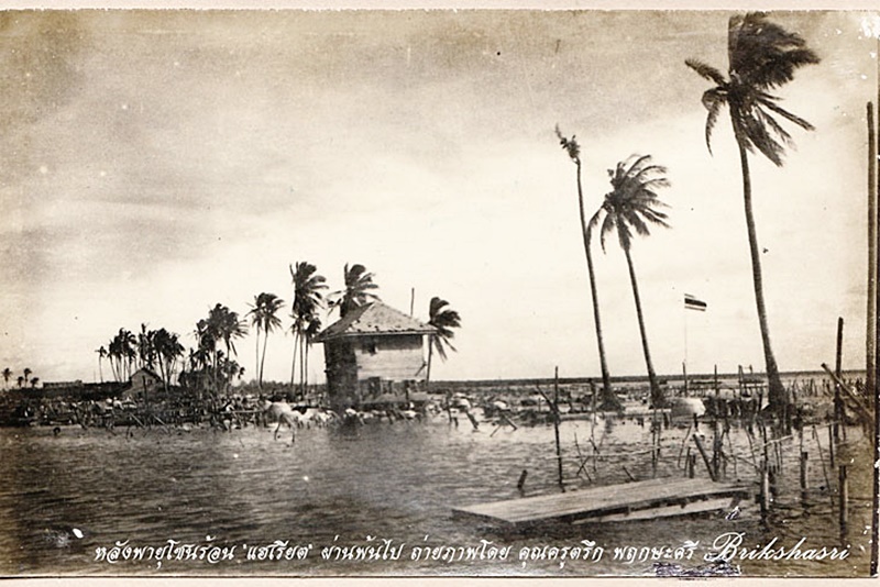 พายุปาบึก พายุปาบึก