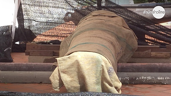 ปืนใหญ่ ปืนใหญ่