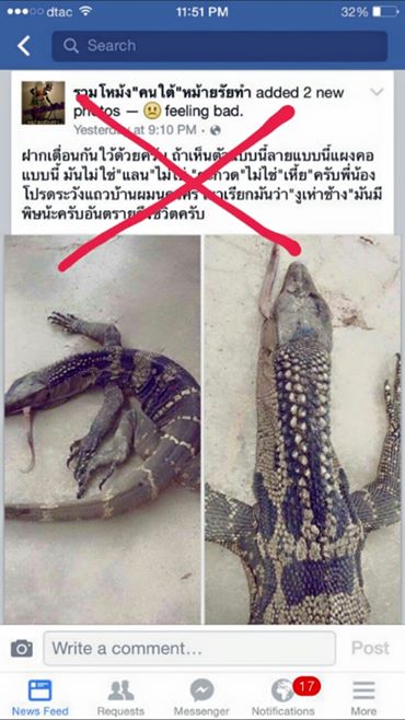 อ.เจษฎา เร่งแจง เห่าช้าง เป็นสัตว์กลุ่มตะกวด ไม่ใช่งู-ไม่มีพิษ อ.เจษฎา เร่งแจง เห่าช้าง เป็นสัตว์กลุ่มตะกวด ไม่ใช่งู-ไม่มีพิษ