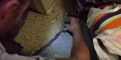 คลิปงู คลิปงู