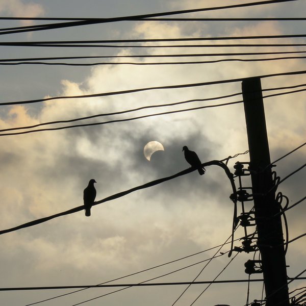 ประมวลภาพปรากฏการณ์ตืนตา สุริยุปราคา 9 มีนาคม 2559 ประมวลภาพปรากฏการณ์ตืนตา สุริยุปราคา 9 มีนาคม 2559