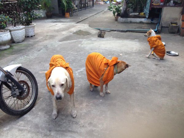 #หนาวจนต้องร้องขอชีวิต #หนาวจนต้องร้องขอชีวิต