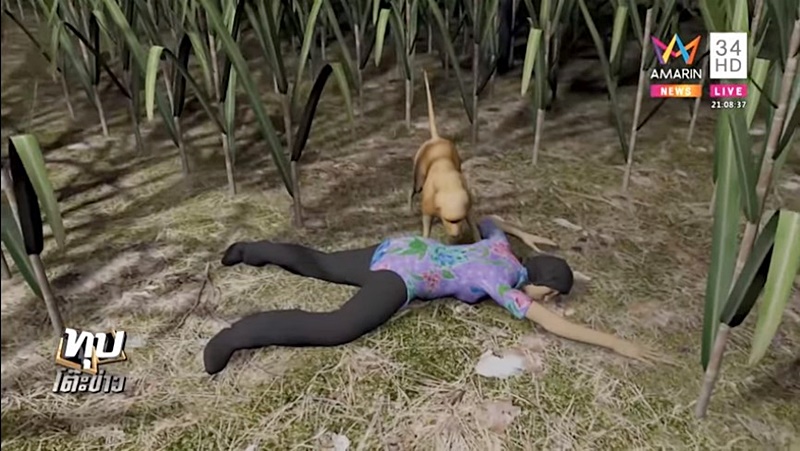 ลวงฆ่า ลวงฆ่า