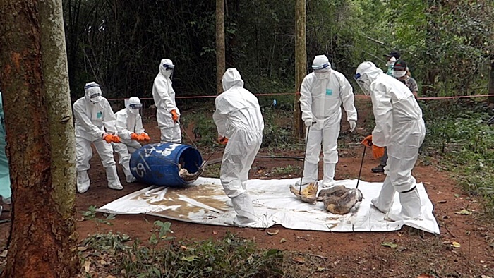 พิสูจน์ ซากเสือโคร่ง อยู่ครบหรือไม่ พิสูจน์ ซากเสือโคร่ง อยู่ครบหรือไม่