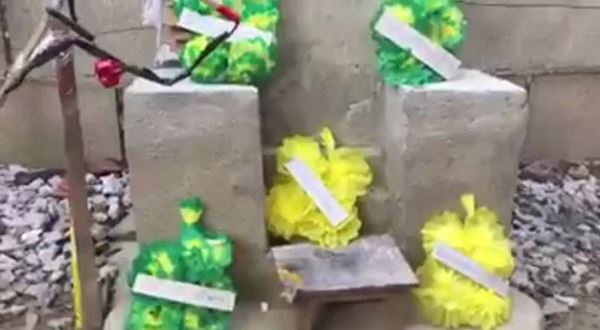 ปเหร่อน้อยจัดพิธีศพให้นก ปเหร่อน้อยจัดพิธีศพให้นก