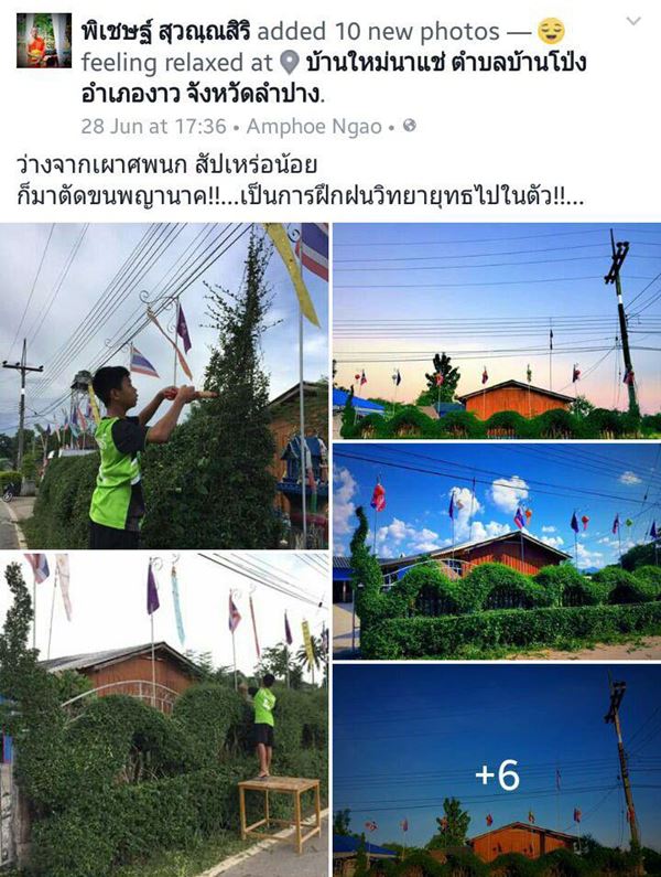 ปเหร่อน้อยจัดพิธีศพให้นก ปเหร่อน้อยจัดพิธีศพให้นก