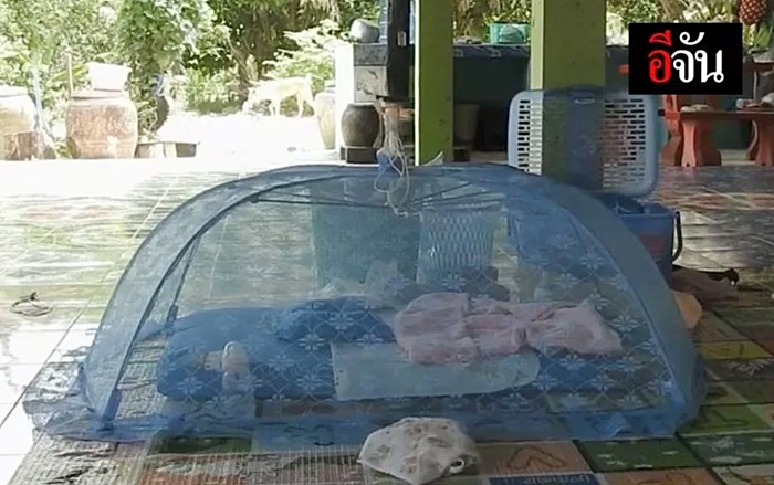 เปิดไทม์ไลน์ น้องไอแอล เปิดไทม์ไลน์ น้องไอแอล