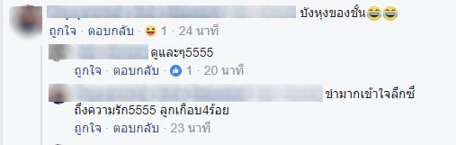 มะละกอ มะละกอ