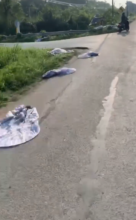 โคมยี่เป็ง โคมยี่เป็ง