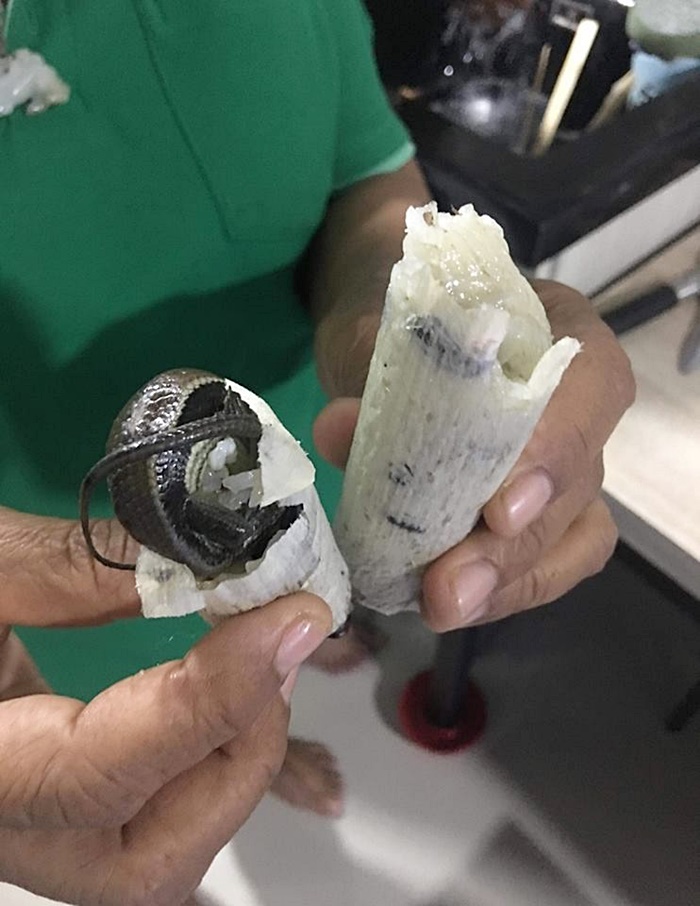 อวสานข้าวหลามแสนอร่อย อวสานข้าวหลามแสนอร่อย