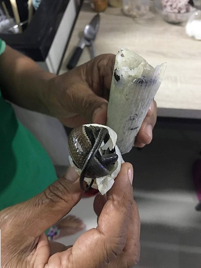 อวสานข้าวหลามแสนอร่อย อวสานข้าวหลามแสนอร่อย