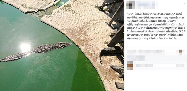 โวยฟาร์มจระเข้ดังละเลยสัตว์ โวยฟาร์มจระเข้ดังละเลยสัตว์