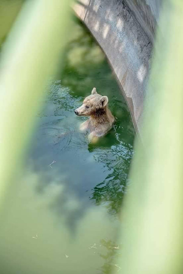 โวยฟาร์มจระเข้ดังละเลยสัตว์ โวยฟาร์มจระเข้ดังละเลยสัตว์