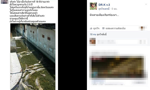 โวยฟาร์มจระเข้ดังละเลยสัตว์ โวยฟาร์มจระเข้ดังละเลยสัตว์