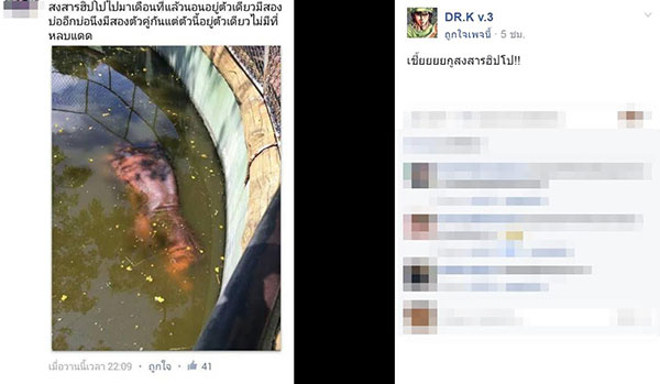 โวยฟาร์มจระเข้ดังละเลยสัตว์ โวยฟาร์มจระเข้ดังละเลยสัตว์