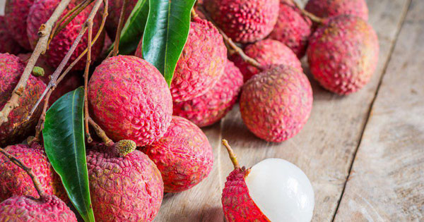 เด็กอินเดียเสียชีวิตปริศนา ชี้มีสาเหตุมาจากกินลิ้นจี่ตอนท้องว่าง เด็กอินเดียเสียชีวิตปริศนา ชี้มีสาเหตุมาจากกินลิ้นจี่ตอนท้องว่าง