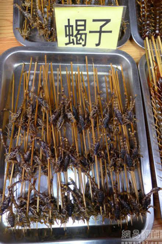 สารพัดสัตว์เสียบไม้จากสตรีทฟู้ดจีน สารพัดสัตว์เสียบไม้จากสตรีทฟู้ดจีน