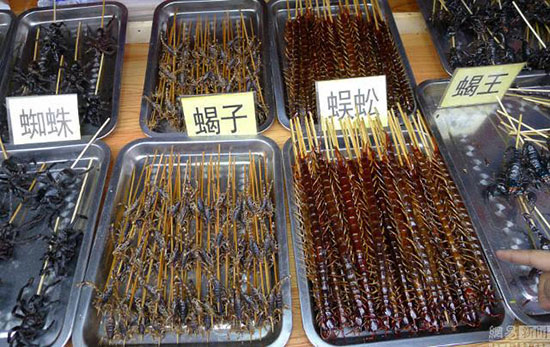 สารพัดสัตว์เสียบไม้จากสตรีทฟู้ดจีน สารพัดสัตว์เสียบไม้จากสตรีทฟู้ดจีน