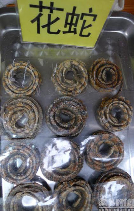 สารพัดสัตว์เสียบไม้จากสตรีทฟู้ดจีน สารพัดสัตว์เสียบไม้จากสตรีทฟู้ดจีน