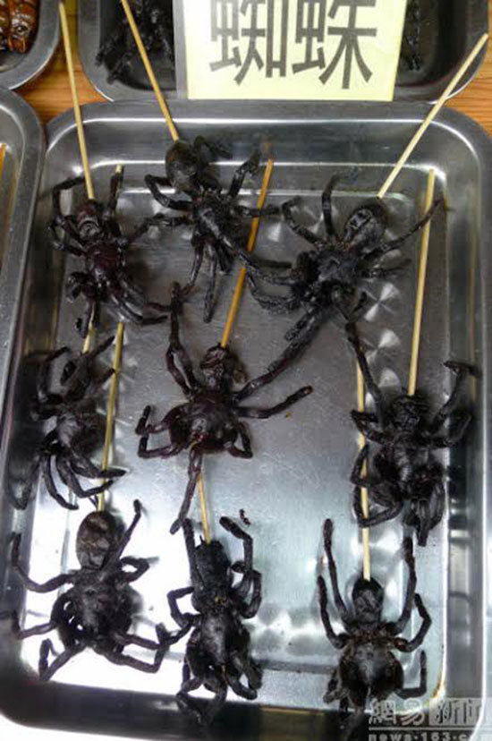 สารพัดสัตว์เสียบไม้จากสตรีทฟู้ดจีน สารพัดสัตว์เสียบไม้จากสตรีทฟู้ดจีน