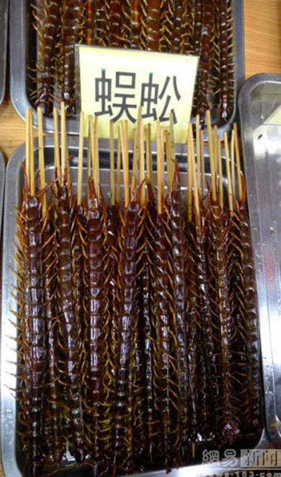 สารพัดสัตว์เสียบไม้จากสตรีทฟู้ดจีน สารพัดสัตว์เสียบไม้จากสตรีทฟู้ดจีน