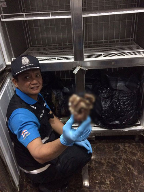 ย้อนอดีต 6 คดีฆ่าหั่นศพสยอง ย้อนอดีต 6 คดีฆ่าหั่นศพสยอง