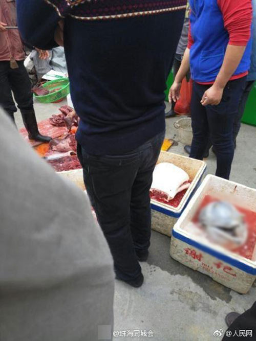 ซากลูกโลมาเผือกถูกตัดหัวใส่กล่องโฟม ซากลูกโลมาเผือกถูกตัดหัวใส่กล่องโฟม