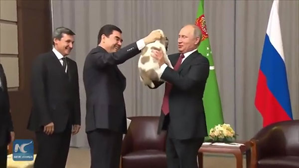 ปูตินปลื้ม ได้ของขวัญเป็นลูกสุนัข ปรี่เข้าอุ้ม จูบด้วยความเอ็นดู ปูตินปลื้ม ได้ของขวัญเป็นลูกสุนัข ปรี่เข้าอุ้ม จูบด้วยความเอ็นดู