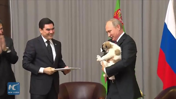 ปูตินปลื้ม ได้ของขวัญเป็นลูกสุนัข ปรี่เข้าอุ้ม จูบด้วยความเอ็นดู ปูตินปลื้ม ได้ของขวัญเป็นลูกสุนัข ปรี่เข้าอุ้ม จูบด้วยความเอ็นดู