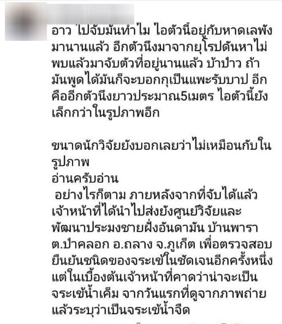 ผุดแคมเปญ ปล่อยจระเข้ภูเก็ตคืนทะเล ชาวบ้านยันเห็นมานับสิบปีไร้ปัญหา ผุดแคมเปญ ปล่อยจระเข้ภูเก็ตคืนทะเล ชาวบ้านยันเห็นมานับสิบปีไร้ปัญหา