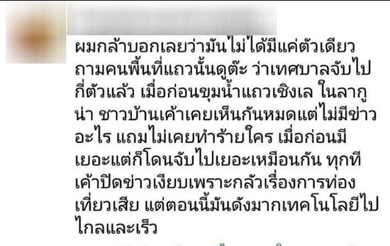 ผุดแคมเปญ ปล่อยจระเข้ภูเก็ตคืนทะเล ชาวบ้านยันเห็นมานับสิบปีไร้ปัญหา ผุดแคมเปญ ปล่อยจระเข้ภูเก็ตคืนทะเล ชาวบ้านยันเห็นมานับสิบปีไร้ปัญหา