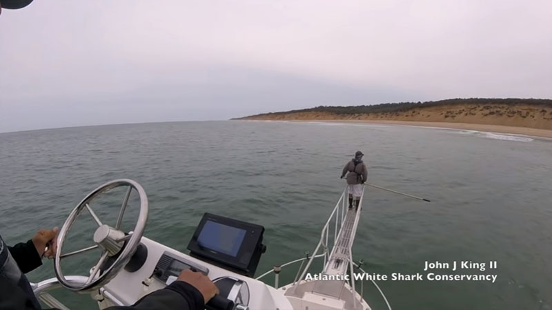 นักวิจัยสะดุ้งโหยง เจอฉลามขาวโดดขึ้นมาทักทาย โผล่โชว์เขี้ยวใต้ฝ่าเท้า นักวิจัยสะดุ้งโหยง เจอฉลามขาวโดดขึ้นมาทักทาย โผล่โชว์เขี้ยวใต้ฝ่าเท้า