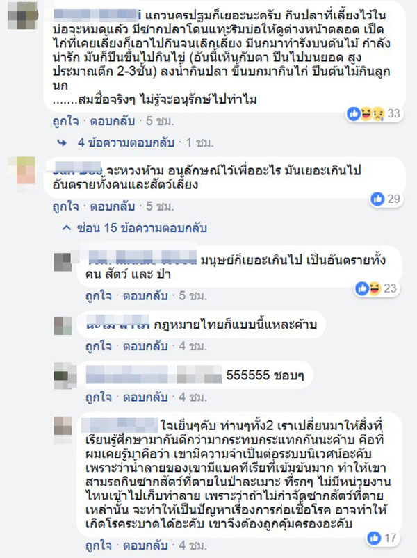 ชาวเน็ตถกสนั่น ตัวเงินตัวทอง เป็นสัตว์ป่าคุ้มครอง ชาวเน็ตถกสนั่น ตัวเงินตัวทอง เป็นสัตว์ป่าคุ้มครอง