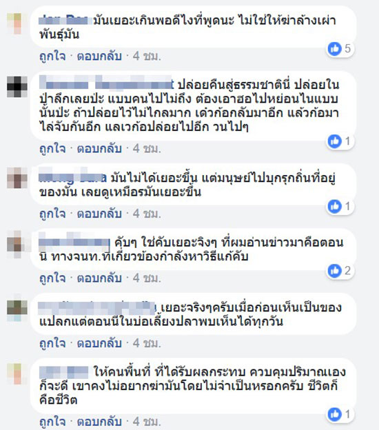 ชาวเน็ตถกสนั่น ตัวเงินตัวทอง เป็นสัตว์ป่าคุ้มครอง ชาวเน็ตถกสนั่น ตัวเงินตัวทอง เป็นสัตว์ป่าคุ้มครอง