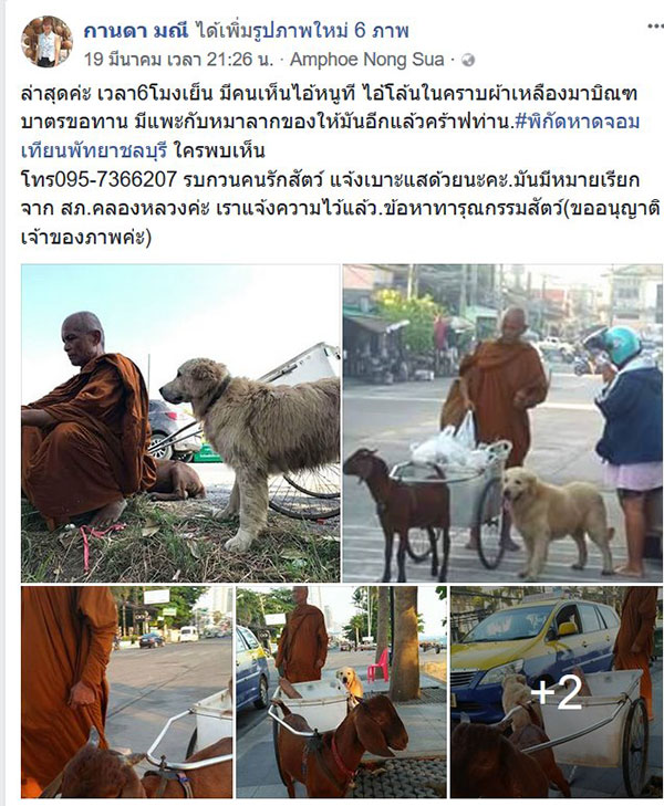 พระหนูที ใช้หมาลากรถบิณฑบาตโผล่ชลบุรี พระหนูที ใช้หมาลากรถบิณฑบาตโผล่ชลบุรี