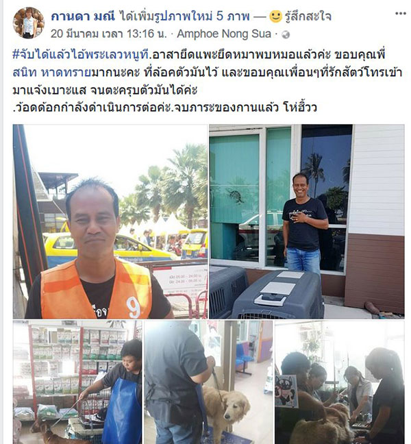 พระหนูที ใช้หมาลากรถบิณฑบาตโผล่ชลบุรี พระหนูที ใช้หมาลากรถบิณฑบาตโผล่ชลบุรี