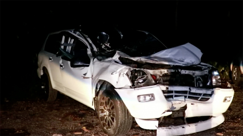 กระบะชนช้างป่าเขาใหญ่ ขณะกำลังข้ามถนน คนขับถูกช้างทับดับคาที่ กระบะชนช้างป่าเขาใหญ่ ขณะกำลังข้ามถนน คนขับถูกช้างทับดับคาที่